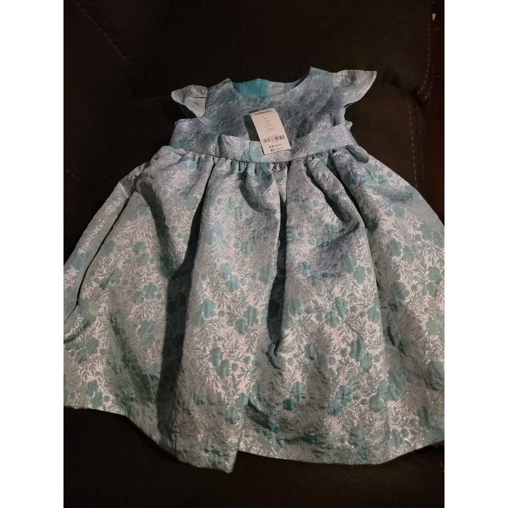 Dressed up by Gymboree fancy‎ winter floral dress size 3t nwt